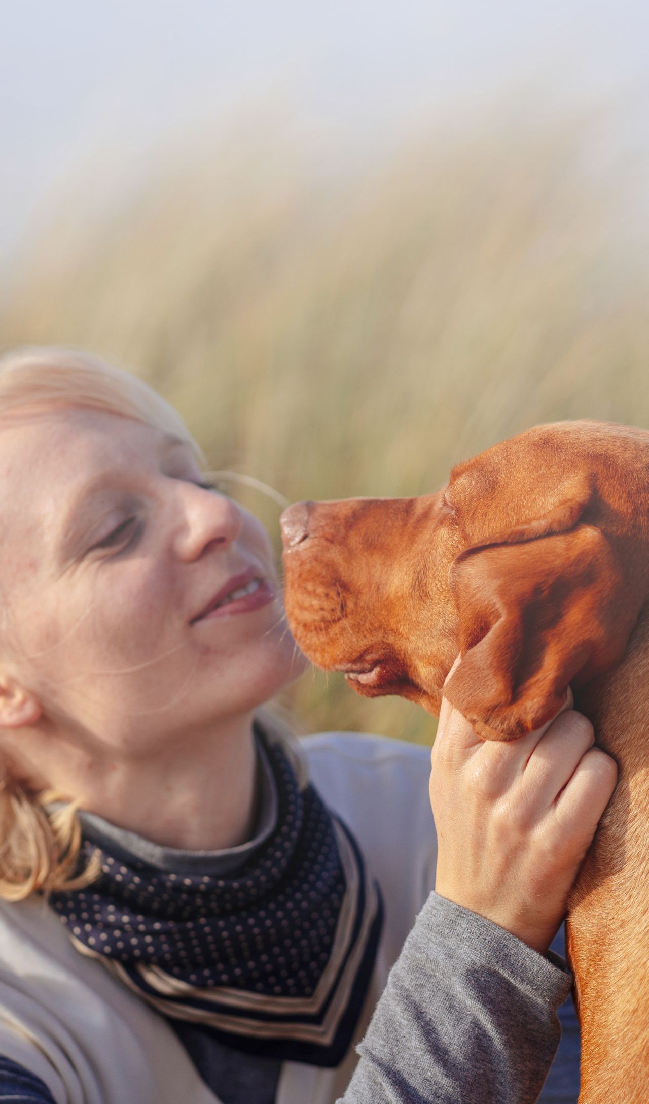 PAWEO Hunde Honig Superfood