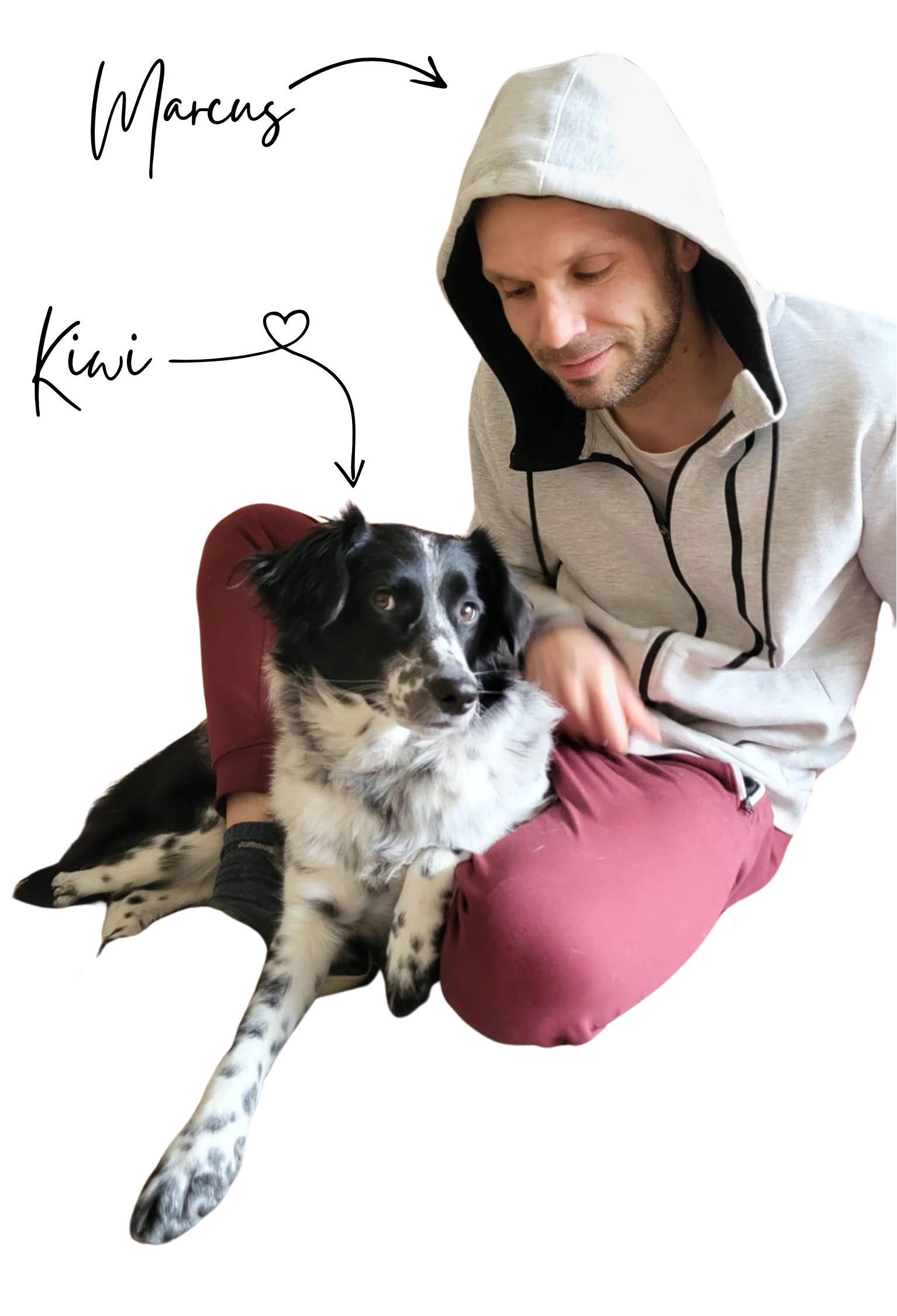 PAWEO Team Hund Kiwi marcus