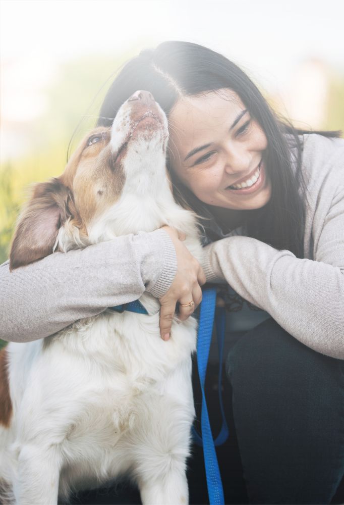 Honig für Hunde Hunde Honig